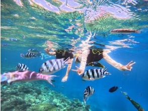 [Departing from the north, landing on Minna Island] Paradise just 15 minutes from the main island! Exciting boat snorkeling & one-day beach tour ★Full of great benefits & round-trip boat ticket included★