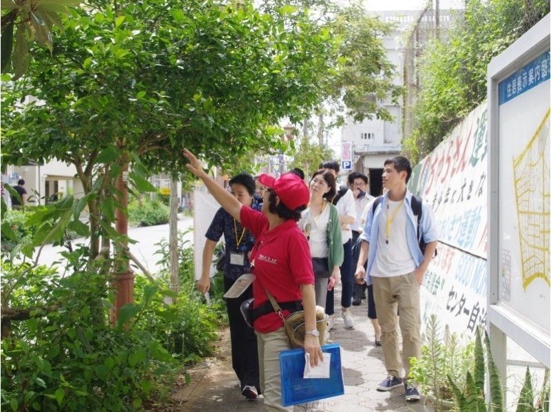 【沖縄・コザ】異国文化溢れる昼のコザを散策！ 昼の観光ツアー【ガイドツアー】