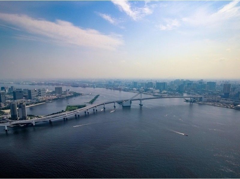 【東京発】上空600mの絶景ツアー！観光名所をヘリコプター遊覧飛行体験(10分)