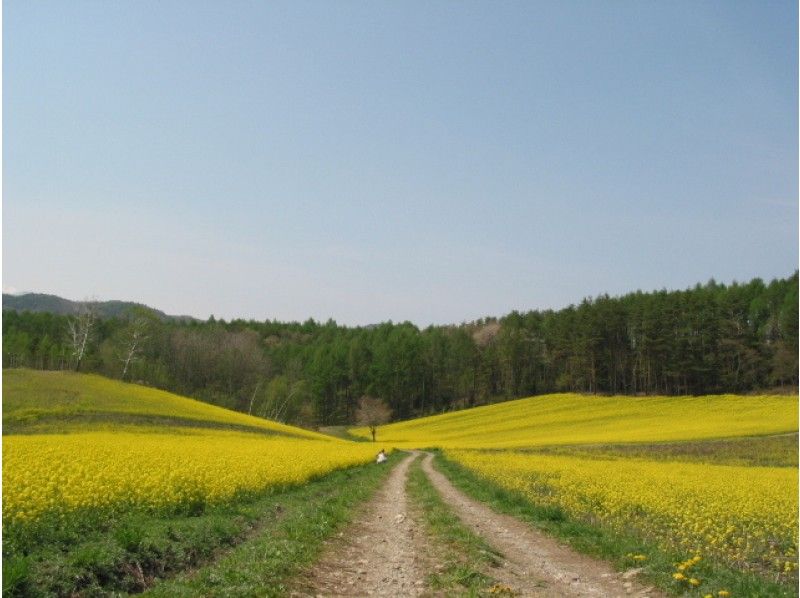 【長野・大町市 ネイチャーウォーク】春信州花三昧 居谷里湿原・菜の花畑・そば畑コース