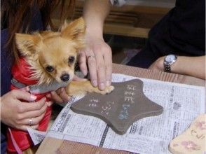 【静岡・伊豆高原・わんこプレート作り】お子様の記念手形や愛犬の足型に！プレート作り体験