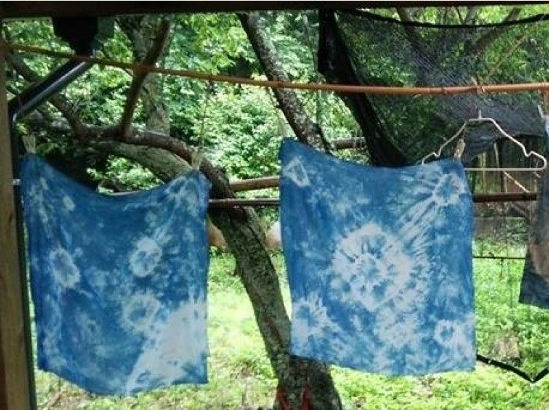 【長崎・草木染め】自然の色に感激！季節の植物で染めよう