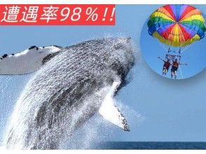 [Great deal with the set♪]★Whale watching + spectacular view! Parasail ★● Re-challenge OK ♪● 100% encounter rate achieved in 2023 ♪