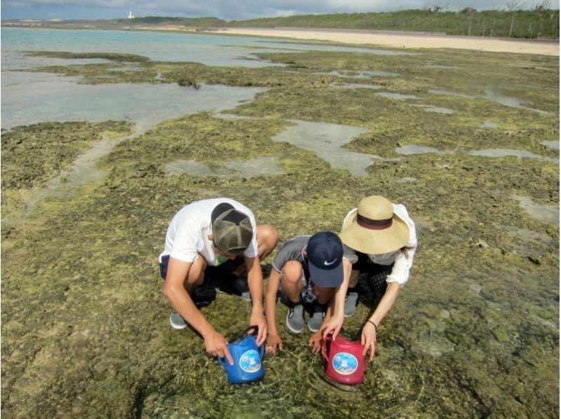 夏休み自由研究応援プラン