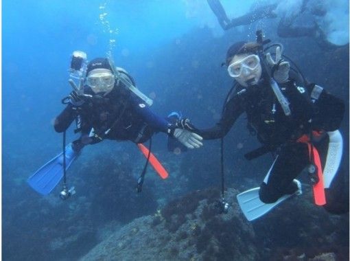 【伊豆大島・初心者向け！】憧れのダイビング！水中世界を体験しよう♪１０歳からOKな体験ダイビングツアー！の画像