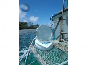 【沖縄・瀬底島】ホエールウォッチング&シーウォーカーの画像