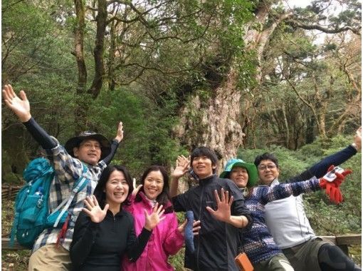 鹿児島・屋久島】ゆっくりと楽しんで歩く縄文杉ツアー（一泊二日）テント・小屋にて宿泊！ | アクティビティジャパン