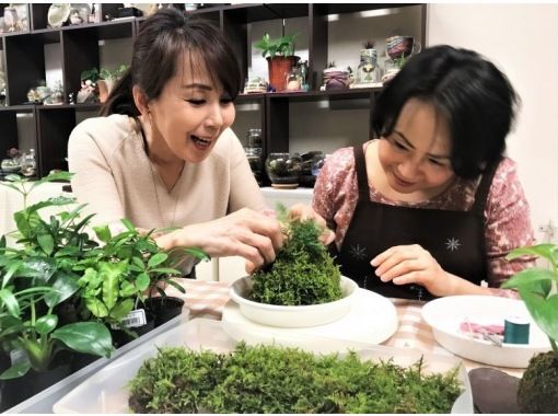 新宿御苑前駅☆人気プラン】苔を楽しむ1日☆苔玉&苔テラリウム(セット