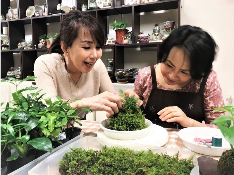 東京 新宿御苑前駅 苔を楽しむ1日 天然苔に触れるひと時 苔玉 苔テラリウム創作体験 アクティビティジャパン