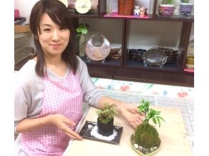 【東京都・苔玉&苔の炭鉢づくり体験】季節の苔玉と苔の炭鉢づくり体験の画像