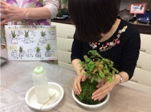 【東京・新宿御苑前駅】苔玉のいろはを学ぶ講座(全３回コースの第１回目)の画像