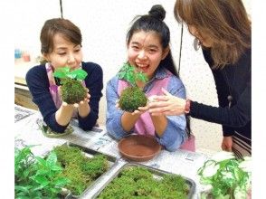 【東京都・苔玉作り】新宿でかわいいインテリア!苔玉づくり(器付き)体験の画像