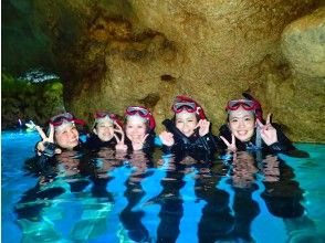 Okinawa Diving Shop Sea Free