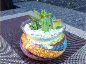 【東京都・多肉植物の寄せ植え】多肉植物・サボテンの(寄せ植え)でカラーサンドアート創作体験♪の画像