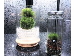 【新宿☆かわいい苔玉】天然苔をお部屋に飾る⭐お洒落なグラス苔玉 「夜間クラスも開講中」の画像