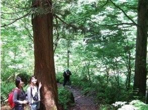 [Toyama-Tateyama foot of a mountain] Nordic Walk 5 minutes Paul in the car from (Tateyama foot of course) Tateyama Station Rental Yesの画像