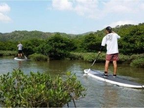 【沖縄・国頭村】やんばる国立公園に指定された沖縄本島北部でのんびりマングローブSUPクルージングの画像