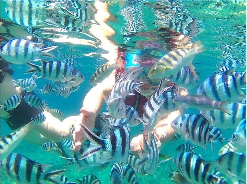 【沖縄北部・国頭村】ボートに乗ってシュノーケリングポイントへ♪熱帯魚と一緒に泳ごう！