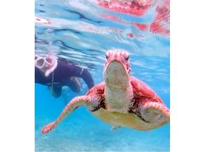 [Okinawa, Ishigaki Island] Sea turtle snorkeling, Nemo and star sand search, blue cave exploration and waterfall play AM (8:00 AM) / PM (1:00 PM) half-day tour (with transfer)