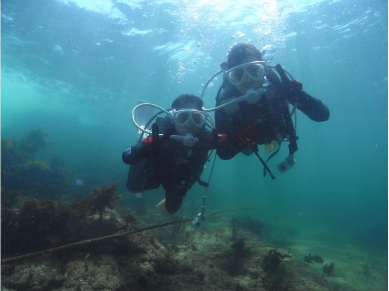 【神奈川・三浦】海の世界をのぞいてみよう！三戸浜で体験ダイビング[プール講習あり]