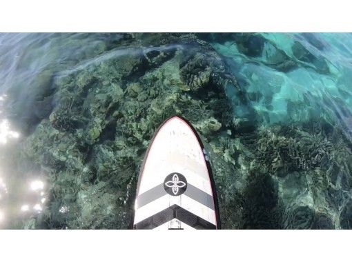 Northern Okinawa, Nago, Onna, Nakijin | Basic lessons for SUP beginners !! GoPro video includedの画像
