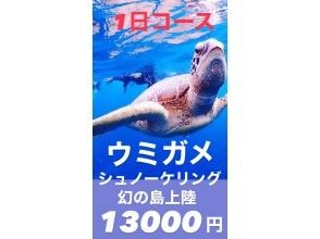 ★Super Summer Sale 2024★Swim with sea turtles】【1 day】Phantom island landing & coral reef premium snorkeling & sea turtle snorkeling【Photo gift】