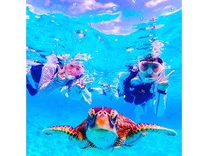 [與海龜一起游泳] [1天]登陸夢幻般的島嶼和珊瑚礁高級浮潛和海龜浮潛[照片禮物][春季促銷正在進行中]の画像
