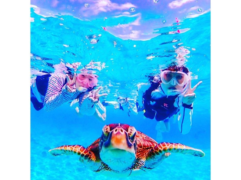 [与海龟一起游泳] [1天] 登陆幻影岛和珊瑚礁高级浮潜和海龟浮潜 [照片礼物] [春季促销正在进行中]の紹介画像