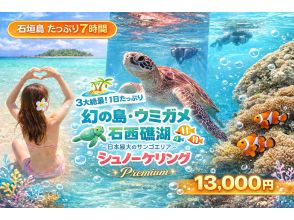 【ウミガメと泳ごう】【1日.7時間】】幻の島上陸＆石西礁湖の珊瑚礁プレミアムシュノーケル＆ウミガメシュノーケル.マンタに会える？【写真無料】