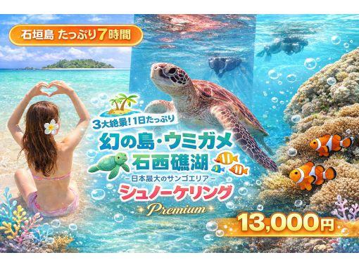 【ウミガメと泳ごう】【1日.7時間】】幻の島上陸＆石西礁湖の珊瑚礁プレミアムシュノーケル＆ウミガメシュノーケル.マンタに会える？【写真無料】の画像