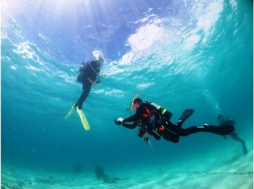 [ 가고시마 · 오 키노] 비경의 바다를 만끽하는 팬 다이빙 2 배の画像