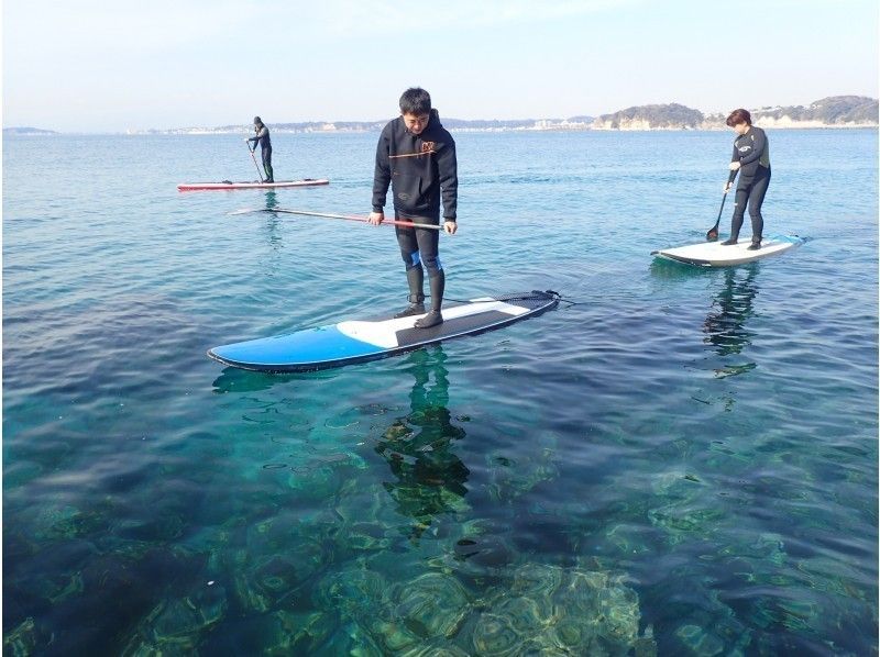 【湘南・逗子】初めての方お勧め、早朝SUPクルージング！土日祝日限定