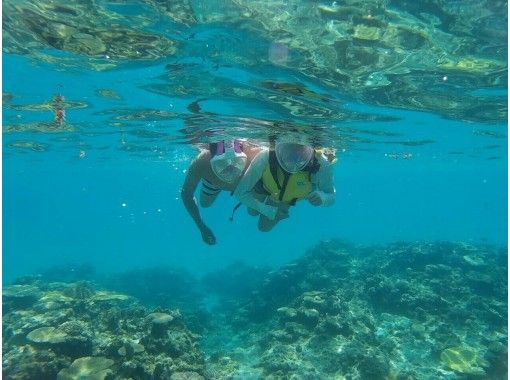 [沖縄縣 -浮潛]沖縄觀光之間約3小時的水下旅行！浮潛（半天課程）の画像