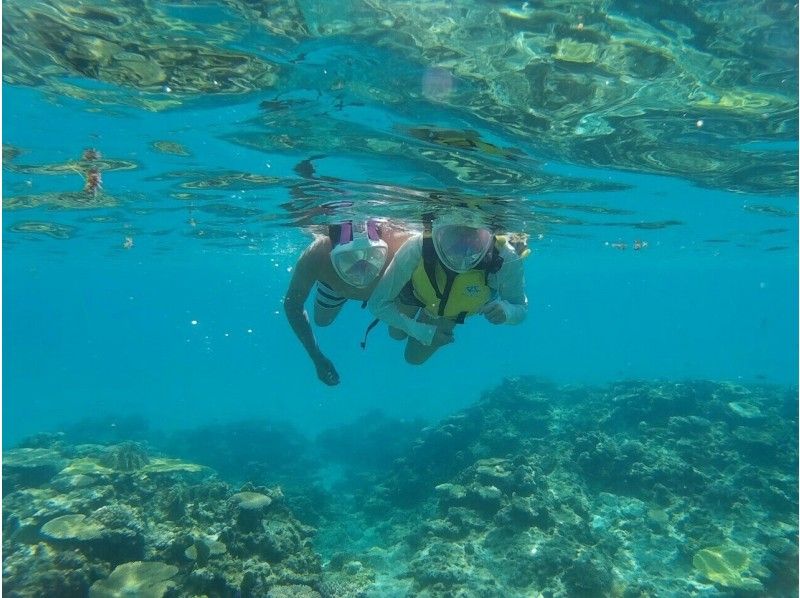 [沖縄縣 -浮潛]沖縄觀光之間約3小時的水下旅行！浮潛（半天課程）の紹介画像