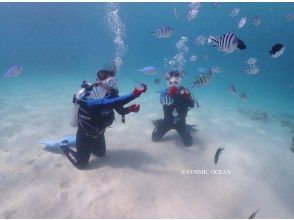 Beach experience diving at Gorilla Chop, the northern Okinawa headquarters ☆ Fully private ☆ Beginners and those who are not good at swimming are welcome!