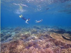 【1組貸切】美ら海を自由に舞う！極上ビーチスキンダイビング＆シュノーケリング｜ジャングリア・美ら海水族館すぐ！