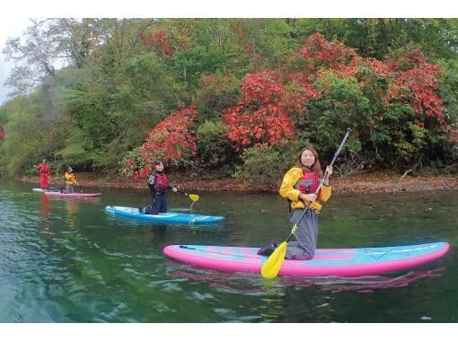 SALE! Autumn Leaves SUP! [Hokkaido, Sapporo, Chitose SUP] Cruising the surface of Lake Shikotsu, the best water quality in Japan for 11 consecutive years! SUP experience SIJ certified schoolの画像