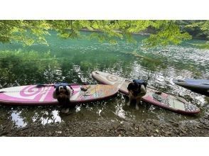 SUP Main Store [Hokkaido, Sapporo, Chitose SUP] Cruise the surface of Lake Shikotsu, the best water quality in Japan for 11 consecutive years! SUP experience SIJ certified school