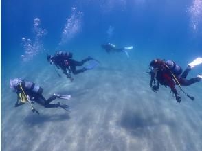 黄金崎で欲張りプラン　シュノーケリング＋体験ダイビング♪　（写真無料プレゼント）　　10才～！