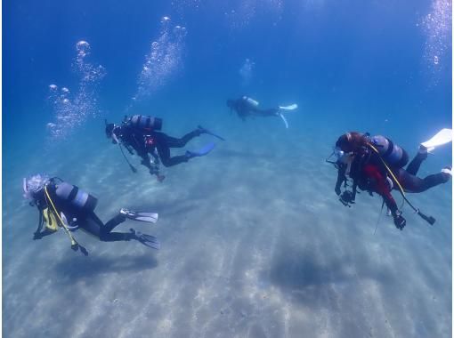 黄金崎で欲張りプラン　シュノーケリング＋体験ダイビング♪　（写真無料プレゼント）　　10才～！の画像