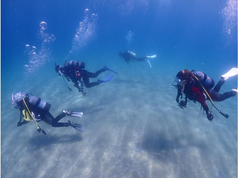 [In Izu Koganezaki Snorkeling+ Experience Diving] 9:00 am to about 5 hours! Recommended for outdoor groups ♪ 10-year-oldの紹介画像