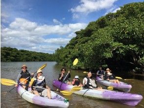 [Okinawa, Ishigaki Island] Commemorative photo included ☆ Relax and take your time! Mangrove Kayaking (90 minutes course)