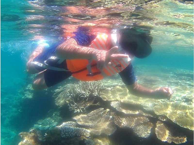 【沖縄北部・国頭村】ファミリー・カップル応援！気軽にビーチからのんびりシュノーケリング