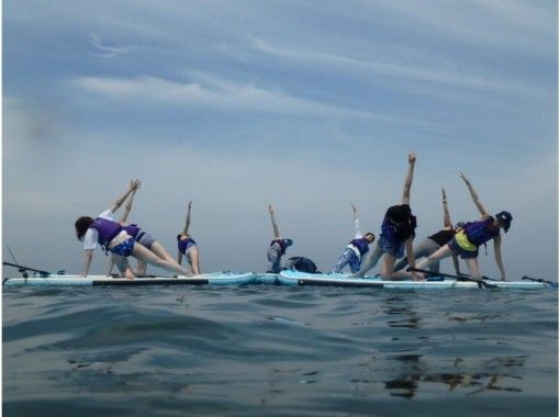 MK SURF