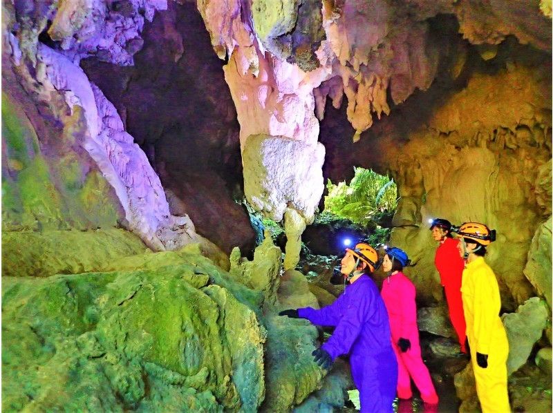 [Okinawa ・ Iriomote Island】 SUPor Canoeing & Trekking and Cave Exploration (1-Day tour)の紹介画像