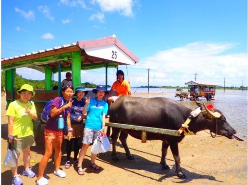 [ 沖縄 -Iriomote島]蘇泊爾獨木舟和Torekkinggu和三 牛車 Yubujima進去（1 日遊）の画像