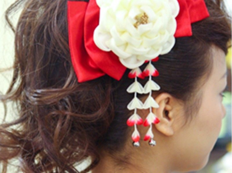 【京都・祇園】着物レンタルスタンダードコーディネート