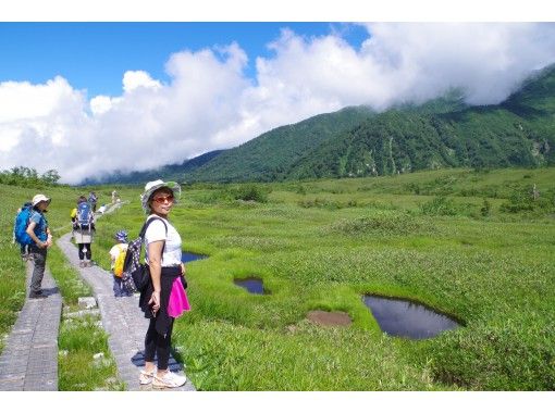 【富山・立山】初めての方も安心！ハイキング（弥陀ヶ原コース）の画像