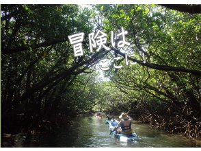 [Okinawa, Ishigaki Island] ★Choose from kayaking/SUP★A greedy tour to enjoy both the sea and the river★Unexplored spot mangrove & coral reef cruising★の画像