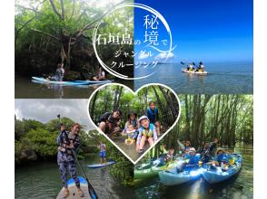 [Okinawa, Ishigaki Island] ★Choose from kayaking/SUP★Special tour of silent mangroves and the open blue sea★